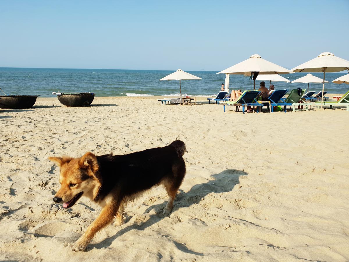 An Bang Beach Villa Hoi An Esterno foto